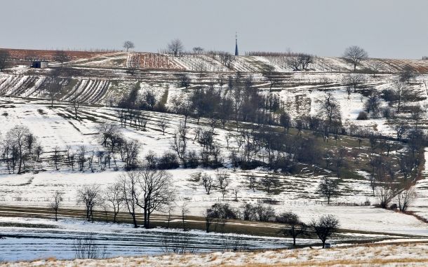 Bastberg Imbsheim clocher DSC 4424