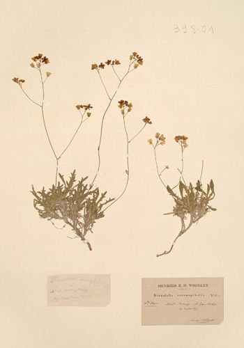 HG00398.01.jpg