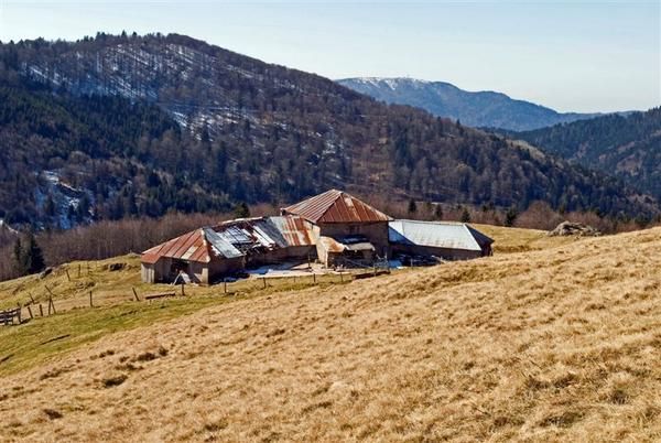 Chaume-des-neuf-bois--8-.jpg
