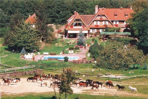 Ferme-equestre-du-Neufeld.jpg