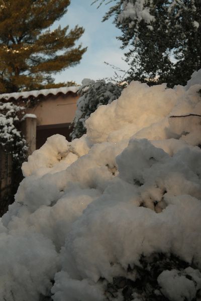 neige en janvier (53)