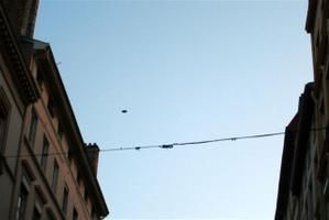 Copie-de-IMG-6470b.JPG