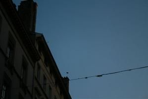 IMG-6471.JPG