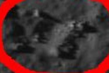 Stevinus-crater-LARGE-jpg.JPG