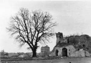 Ruines-ch--teau-1970-internet.jpg