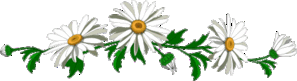 s-paration-marguerites.gif