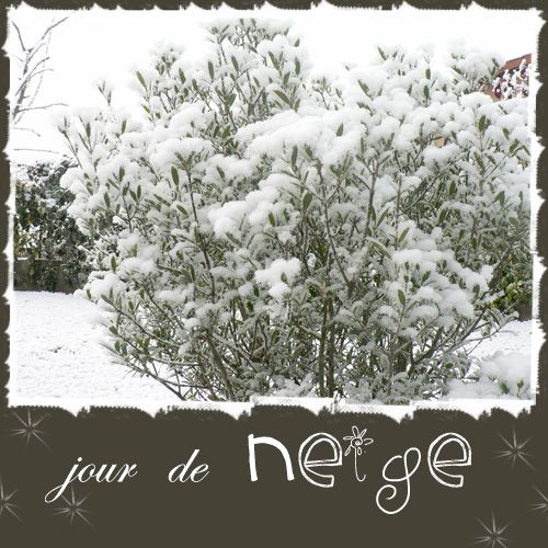 jour-de-neige-copie-1.jpg