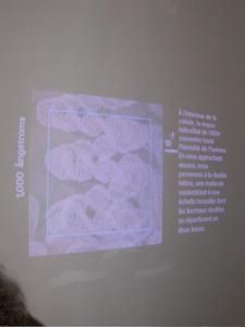 3--Desktop-Resolution--copie-3.jpg