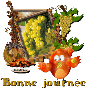 901433bonnejournedentelledelune436.gif