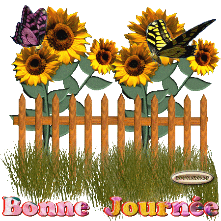 935969bonnejournedentelledelune426.gif