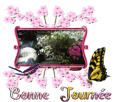 690369bonnejournedentelledelune400.gif
