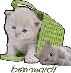 bon-mardi-20-2-.gif