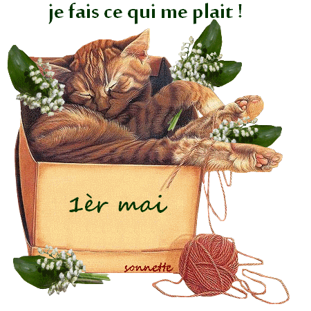 120502031023120776