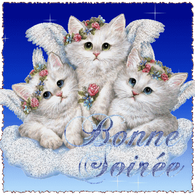 47542625_p.gif