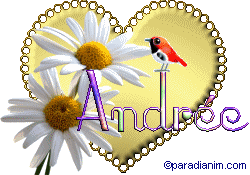 andree2.gif