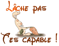 gljhajbf-copie-1.gif
