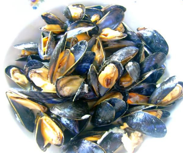 moules----d--guster.jpg