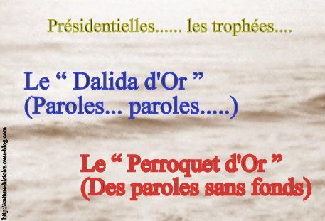 Presidentielles-2012---Panneau-M.S.jpg