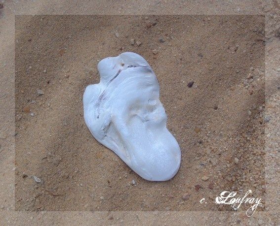 Empreinte de pas sable