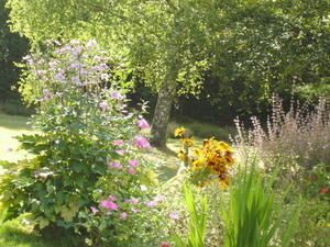 an--mones-et-lavat--res.JPG