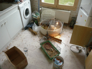 P1000699.gif