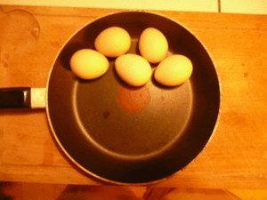 P1000737.gif