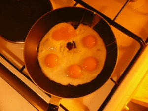 P1000739.gif