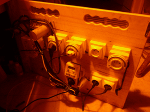 elec-fin.gif