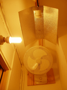 placard-2-lumiere.gif
