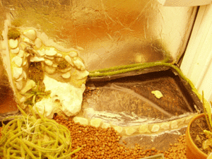 placard-2.gif