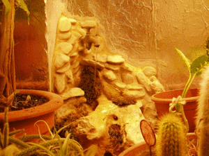 placard-fontaine-2.gif