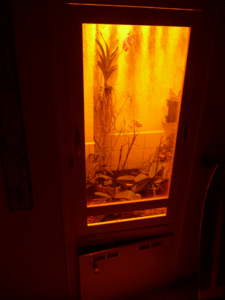 porte-fin.gif