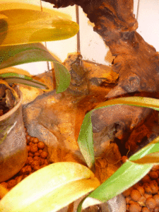 source-2.gif