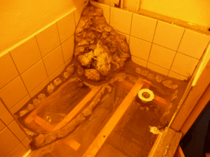 travaux-5.gif