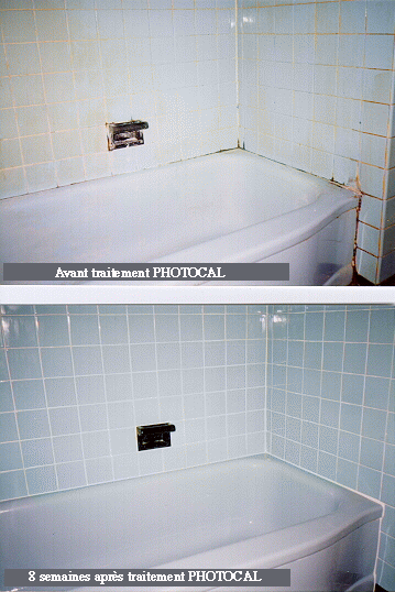 moisissure: photocal élimine définitivement les moisissures ... - Moisissure Carrelage Salle De Bain moisissure: photocal élimine définitivement les moisissures ... - Moisissure Carrelage Salle De Bain