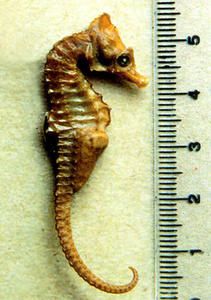 Hihip-m0-copie-1.jpg