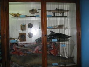IMG-0093.JPG