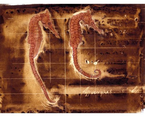 Richardson.-seahorse_quink_oil.jpg
