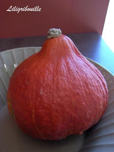 potimarron-copie-1.jpg