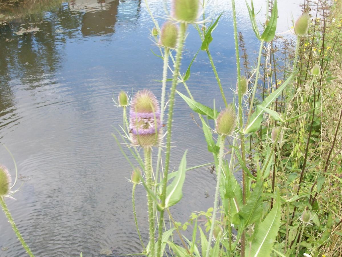 Rencontres iris
