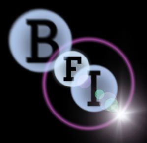 BFI_new-logo_col_30mm-for-external-custo