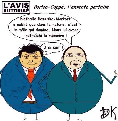 L'avis autorisé : Borloo-Coppé contre NKM L'avis autorisé : Borloo-Coppé contre NKM