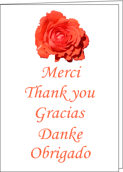 Merci maxi--1-