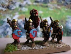Eagle-knights--4Bd-.JPG