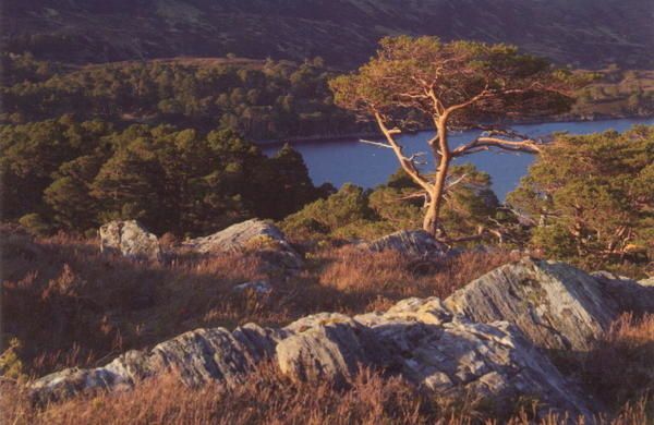 Ecosse-003.jpg