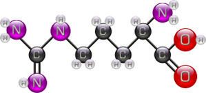 Arginine.jpg