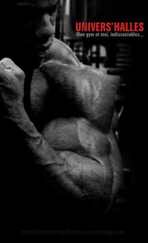 Musculation.jpg