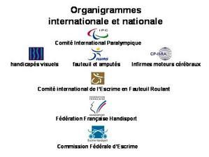 organigramme-international-et-national.JPG