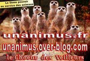 abanunasmallw2.jpg