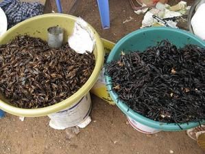 Cambodge-hummm-Les-insectes.jpg